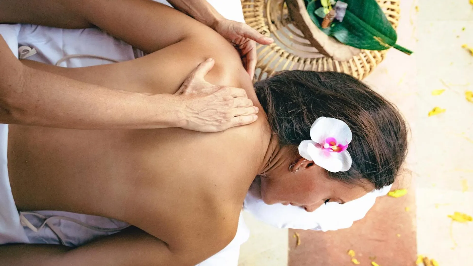 Terasu Riviera Maya Hotel & Spa, En Xcaret Solidaridad Mexico